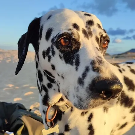 Apartment Fuerteventura Casa Tikuna