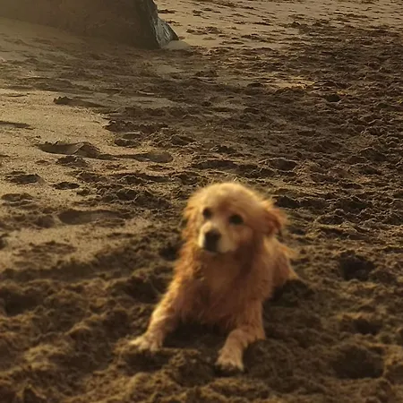 Apartment Fuerteventura Casa Tikuna La Oliva